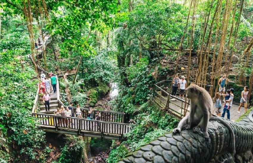 Maymun Ormanı, Bali Adası