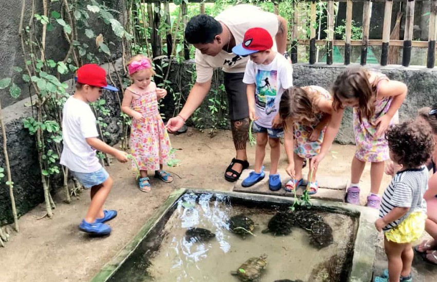 Balayı için Bali'yi Tercih Edenlere Gezilecek 13 Yer Tavsiyesi 10 Serangan Kaplumbağ Adası, Bali